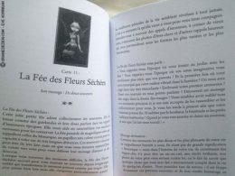 Oracle des êtres d Ombre et de Lumière de Lucy Cavendish Review