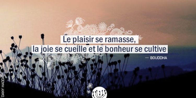 Le Plaisir Se Ramasse, La Joie Se Cueille...