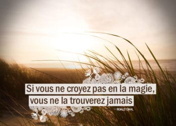 Si vous ne croyez pas en la magie, vous ne la trouverez jamais - Roald Dahl - Graine d'Eden citations