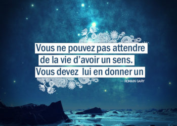 Graine d'Eden - Citation Romain Gary - Vous ne pouvez pas attendre de la vie d'avoir un sens. Vous devez lui en donner un.