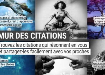 Graine d'Eden - Le mur des citations. Partagez facilement avec ceux que vous estimez les citations que vous aimez.