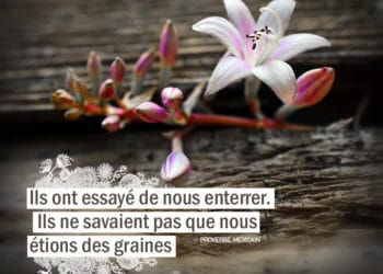 Ils ont essayé de nous enterrer. Ils ne savaient pas que nous étions des graines. PROVERBE MEXICAIN - Graine d'Eden citation