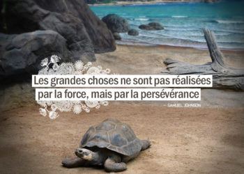 Les grandes choses ne sont pas réalisées par la force, mais par la persévérance. SAMUEL JOHNSON - Graine d'Eden citation