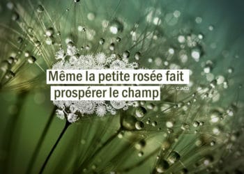 Même la petite rosée fait prospérer le champ. Christian Jacq citation - Graine d'Eden citation