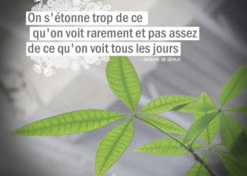 On s'étonne trop de ce qu'on voit rarement et pas assez de ce qu'on voit tous les jours. MADAME DE GENLIS - Graine d'eden citation