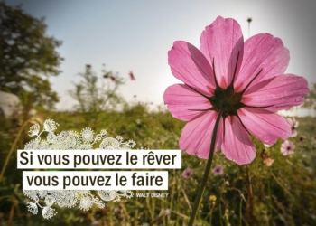 Si vous pouvez le rêver, vous pouvez le faire. WALT DISNEY - Graine d'Eden Citations