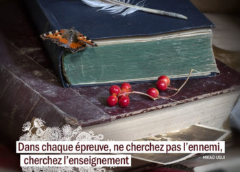 Dans chaque épreuve, ne cherchez pas l'ennemi, cherchez l'enseignement. MIKAO USUI - Graine d'Eden citation