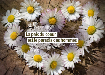 La paix du cœur est le paradis des hommes. PLATON - Graine d'Eden Citation