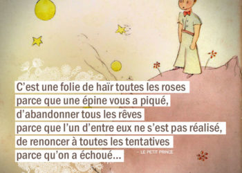 C'est une folie de haïr toutes les roses parce que une épine vous a piqué, d'abandonner tous les rêves parce que l'un d'entre eux ne s'est pas réalisé, de renoncer à toutes les tentatives parce qu'on a échoué... LE PETIT PRINCE - Graine d'Eden Citation