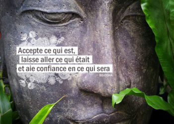 Accepte ce qui est, laisse aller ce qui était et aie confiance en ce qui sera. BOUDDHA - Graine d'Eden Citation