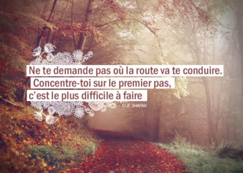 Ne te demande pas où la route va te conduire. Concentre-toi sur le premier pas, c'est le plus difficile à faire. ELIF SHAFAK - Graine d'Eden citation