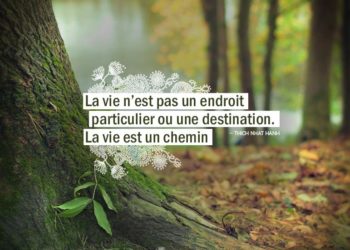 La vie n'est pas un endroit particulier ou une destination. La vie est un chemin. THICH NHAT HANH - Graine d'Eden Citation