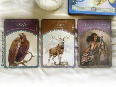La sagesse de l'oracle - cartes divinatoires : Colettte Baron-Reid -  2361882760