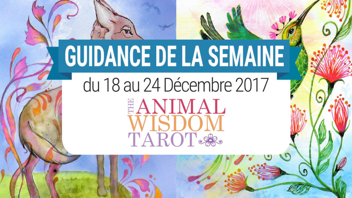 18 au 24 Décembre 2017 - Votre guidance de la semaine avec The Animal Wisdom Tarot de Dawn Brunke et Ola Liola - Graine d'Eden Eve Korrigan - Développement personnel, spiritualité, tarots et oracles divinatoires, Bibliothèques des Oracles, avis, présentation, review , revue