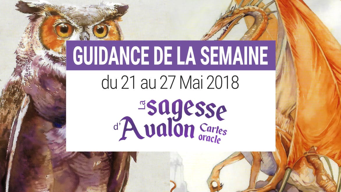 21 au 27 mai 2018 - Votre guidance de la semaine avec Les Cartes Oracle La Sagesse d'Avalon de Colette Baron-Reid - Graine d'Eden Développement personnel, spiritualité, tarots et oracles divinatoires, Bibliothèques des Oracles, avis, présentation, review tarot oracle , revue tarot oracle