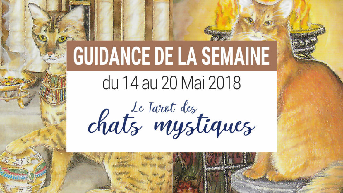 14 au 20 mai 2018 - Votre guidance de la semaine avec le Tarot des Chats Mystiques - Graine d'Eden Développement personnel, spiritualité, tarots et oracles divinatoires, Bibliothèques des Oracles, avis, présentation, review tarot oracle , revue tarot oracle