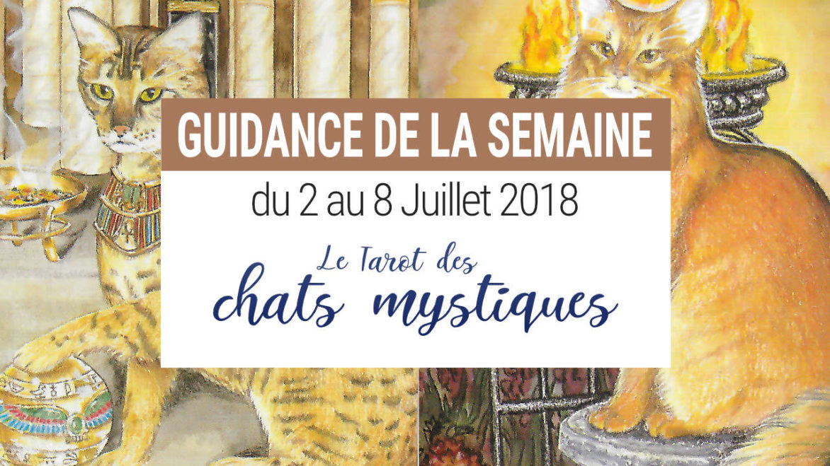 2 au 8 Juillet 2018 - Votre guidance de la semaine avec Le Tarot des Chats Mystiques - Graine d'Eden Développement personnel, spiritualité, tarots et oracles divinatoires, Bibliothèques des Oracles, avis, présentation, review tarot oracle , revue tarot oracle