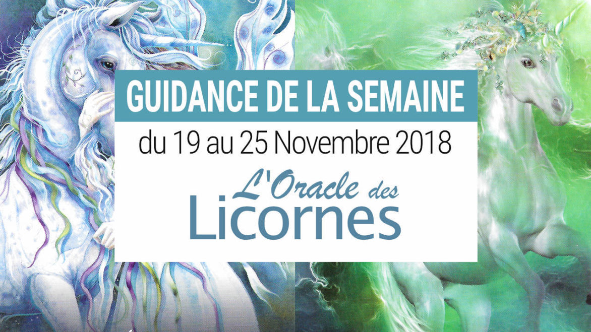 19 au 25 Novembre - Votre guidance de la semaine avec L'Oracle des Licornes de Cordelia Francesca Brabbs - Graine d'Eden Développement personnel, spiritualité, tarots et oracles divinatoires, Bibliothèques des Oracles, avis, présentation, review tarot oracle , revue tarot oracle