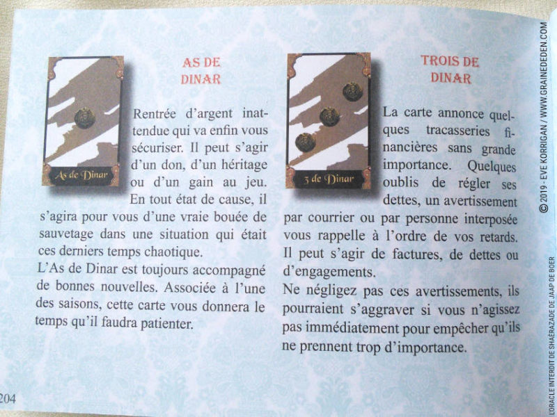 L’Oracle Interdit de Shaerazade de Jaap de Boer review et avis - Graine d'Eden Développement personnel, spiritualité, tarots et oracles cartes divinatoires, Bibliothèques des Oracles, avis, présentation, review , revue