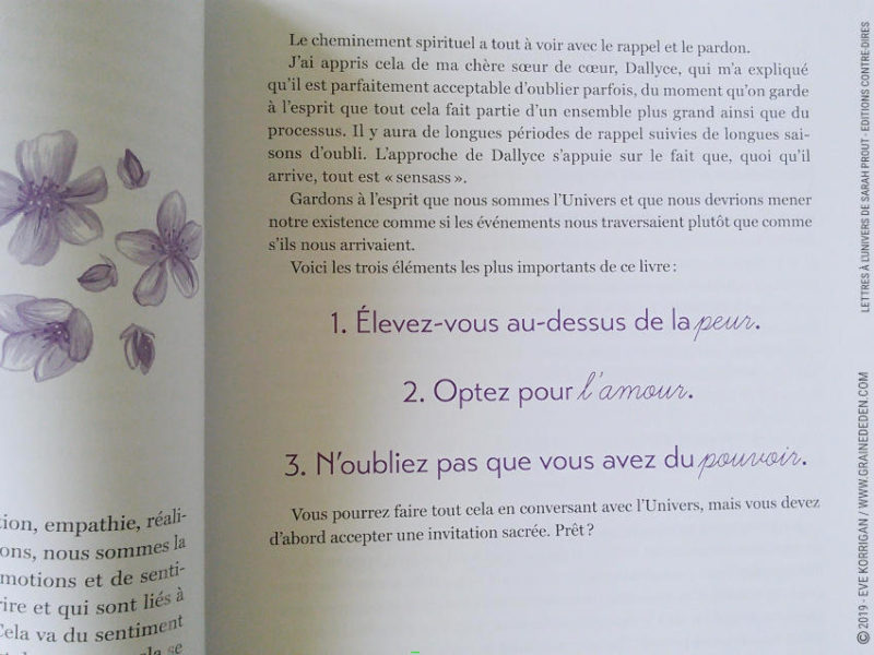 Lettres à l'Univers de Sarah Prout Review et avis - Graine d'Eden Développement personnel, spiritualité, livre tarots et oracles cartes divinatoires, Bibliothèques des Oracles, avis, présentation, review , revue