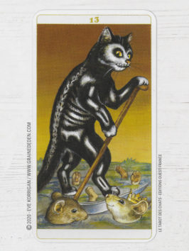 Le Tarot des Chats de Céline Guillaume et Séverine Pineaux