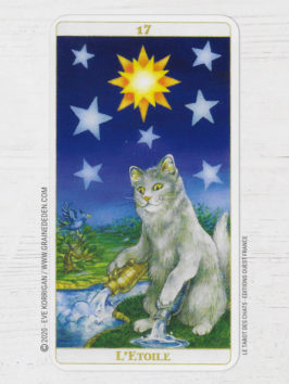 Le Tarot des Chats de Céline Guillaume et Séverine Pineaux